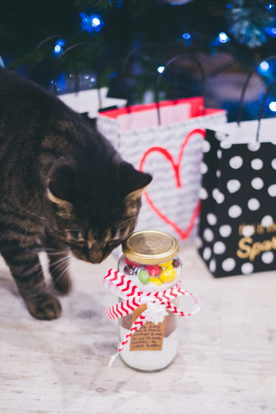 Idée cadeau de Noël DIY : le Kit SOS Cookies