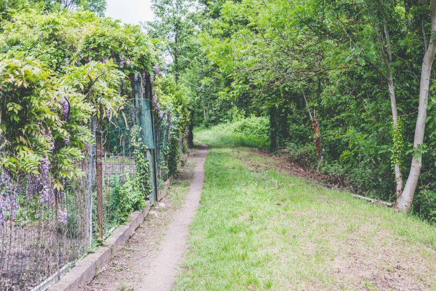 comment avoir un jardin a strasbourg