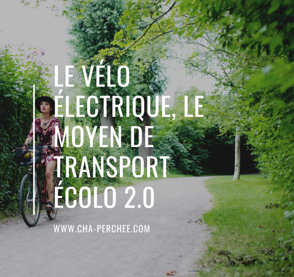 Le vélo électrique, le moyen de transport écolo 2.0